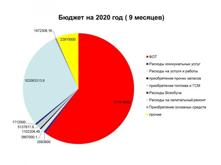 Бюджет на 2020 год (9 месяцев)